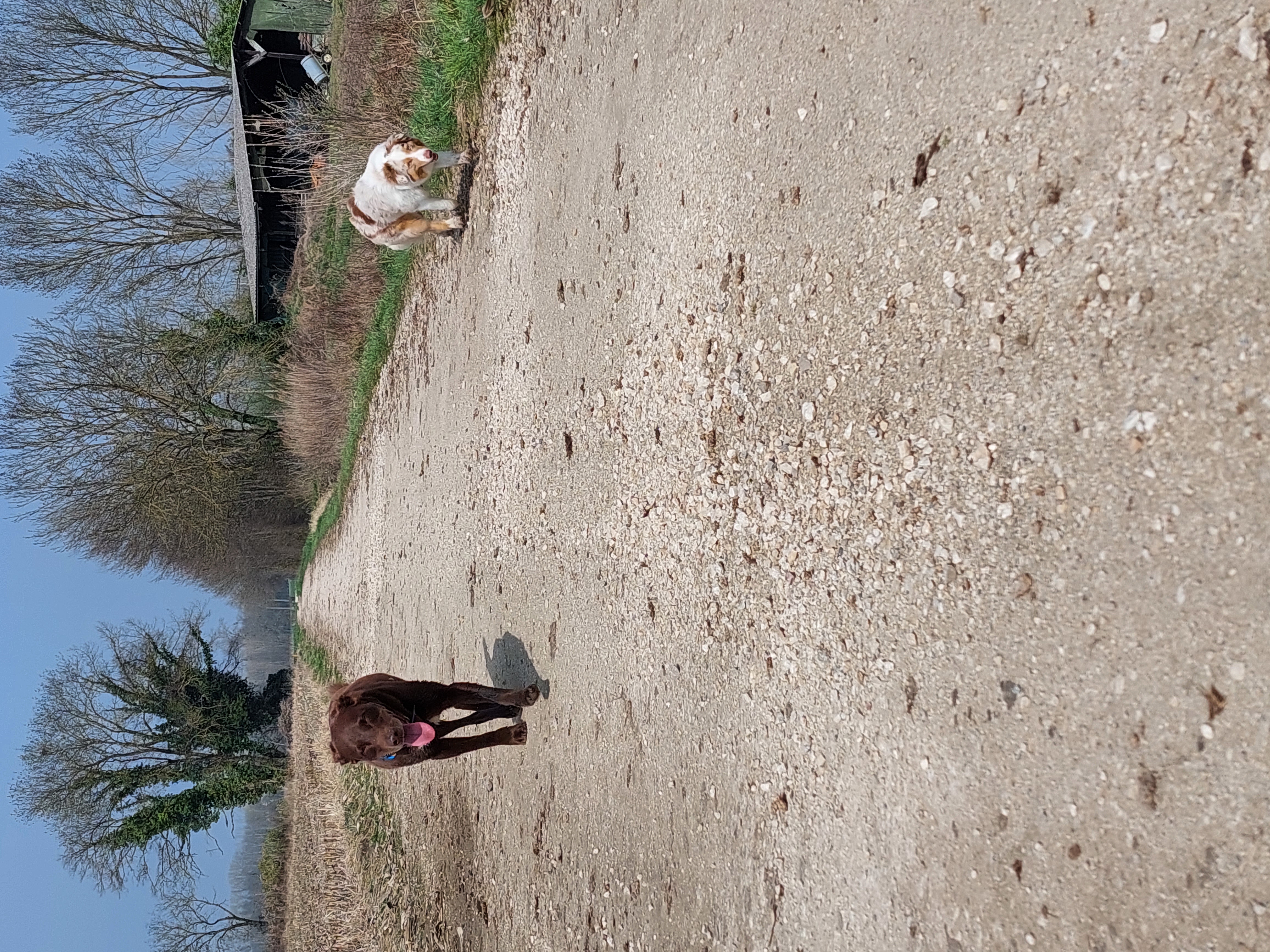 BALADE INDIVIDUELLE