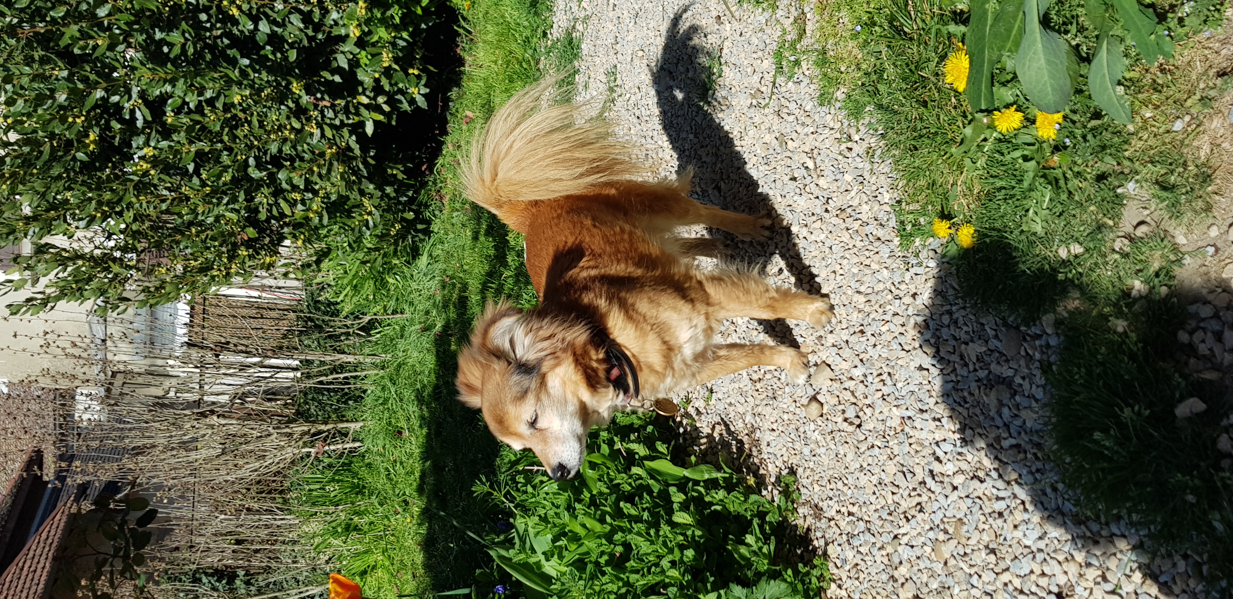 PRÉVENTION/CONSEILS