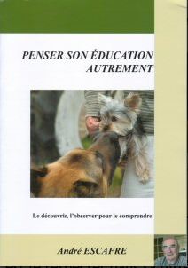 VISION DU CHIEN- ÉDUCATION : Un essentiel dans notre approche!