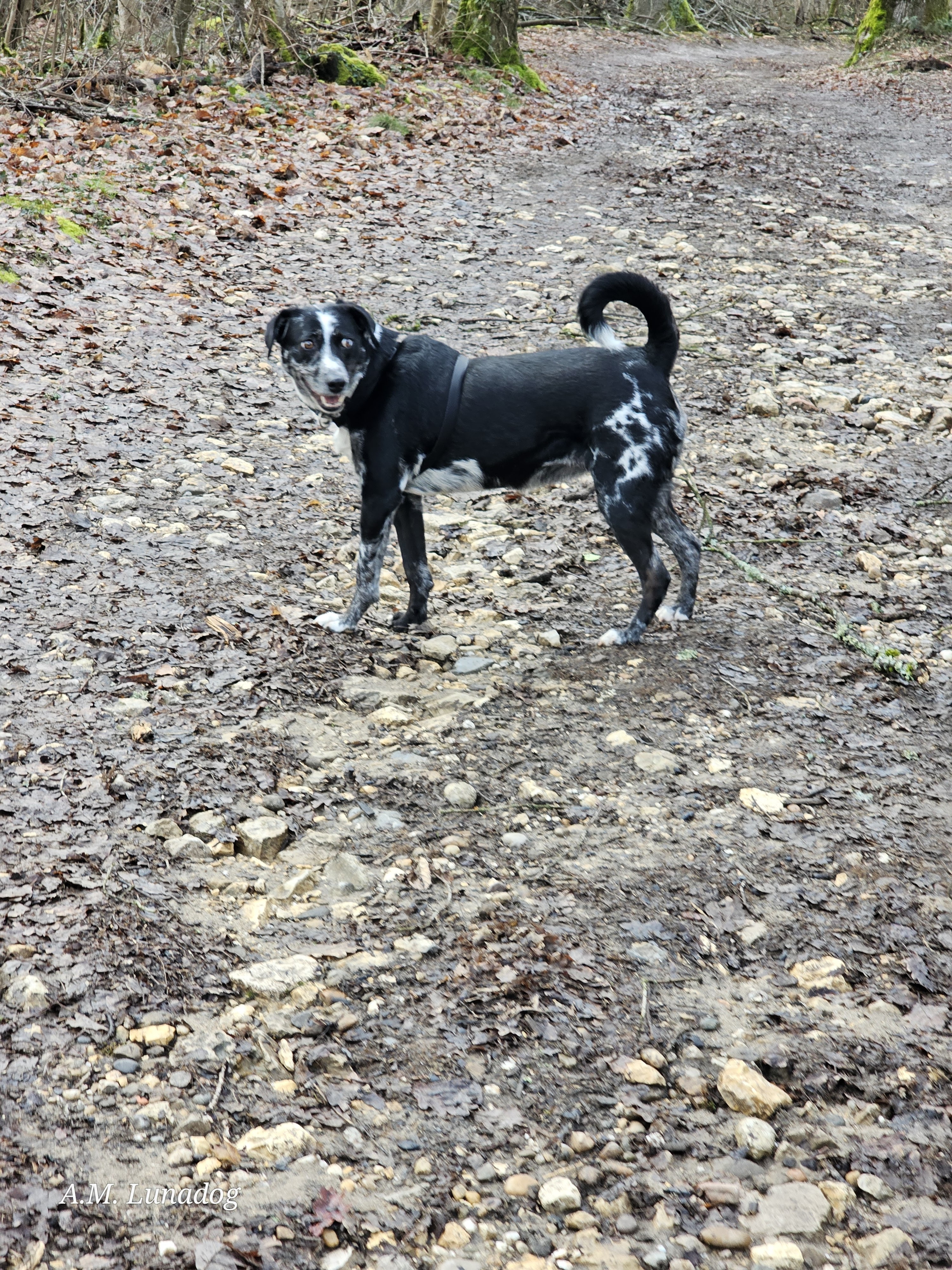 D'une balade collective à une réflexion sur la Vie...